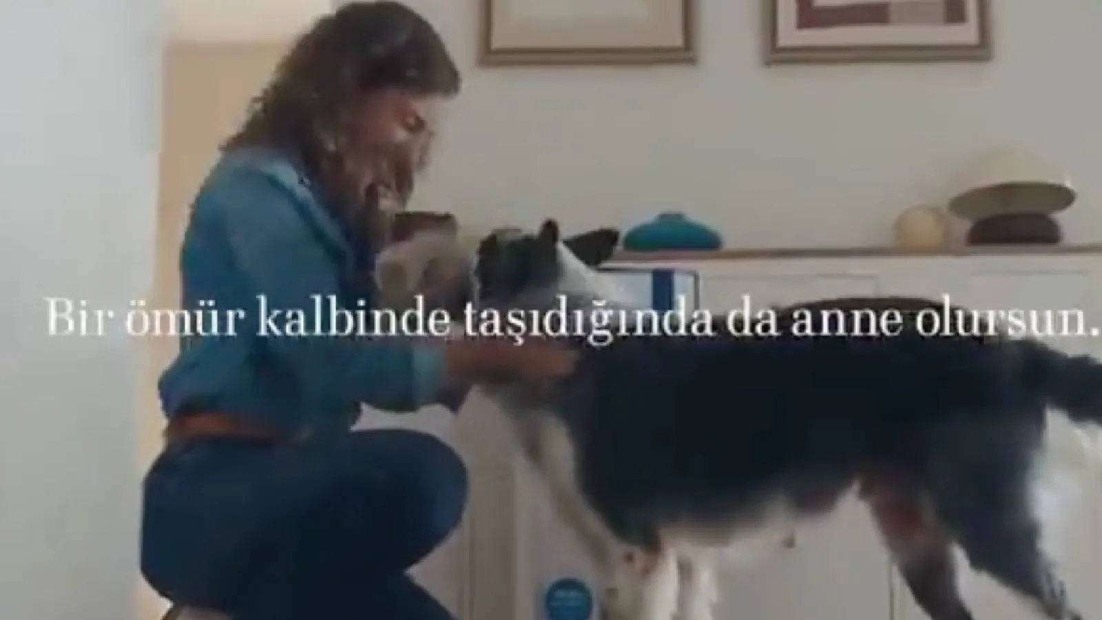 Bir Reklamdan Fazlası