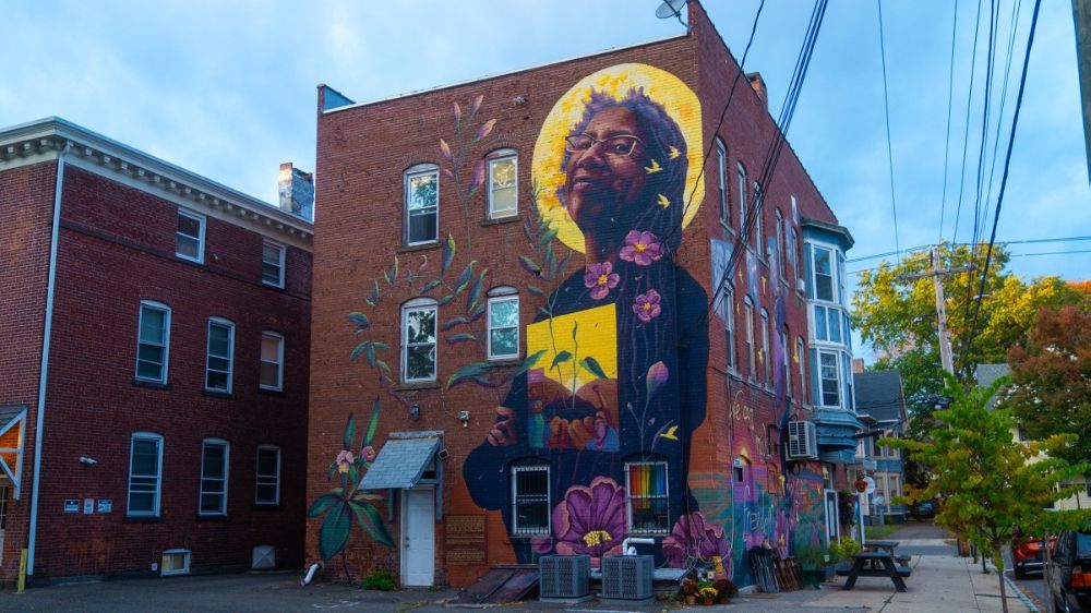 ABD’de Öldürülen Siirtli Gencin Ardından: Faşist Özgürlük, Artı Nüfuslar ve İlgacılık