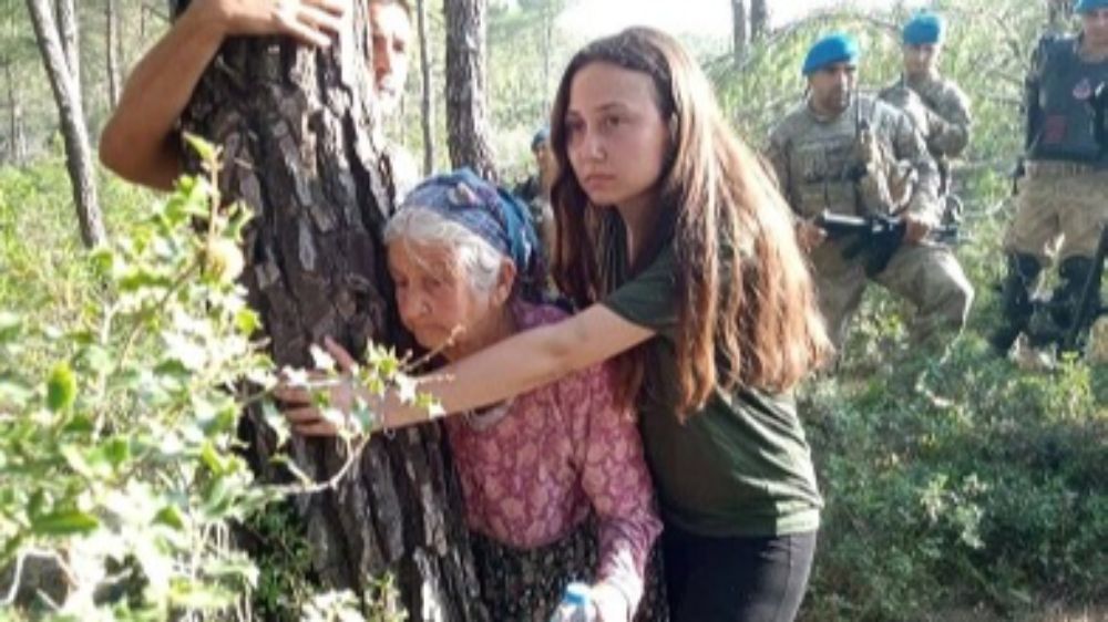 Doğa, AYM Karar Verene Kadar Beklemez