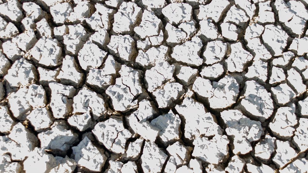 İklim Krizinin de Sınıfı Var: COP31, Halkların İklim Zirvesi ve Sendikalar